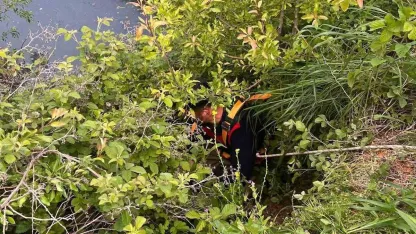 Yayladağı’nda gölete düşen büyükbaş hayvan kurtarıldı