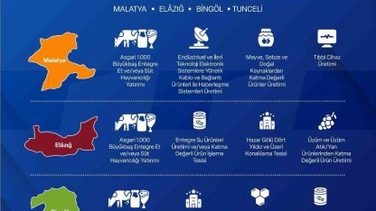 Yerel Kalkınma Hamlesi ile yatırımcılara 301 Milyon TL’ye kadar destek