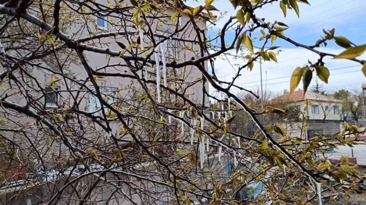 Yozgat’ta çiftçiler zirai don tehlikesine karşı uyarıldı