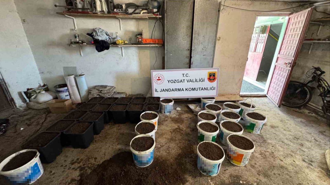 Yozgat’ta uyuşturucu yetiştirme düzeneği ve uyuşturucu madde ele geçirildi