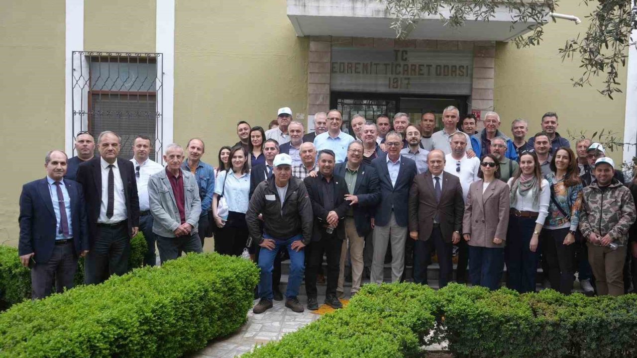 Zeytinyağında tecrübe paylaşımı