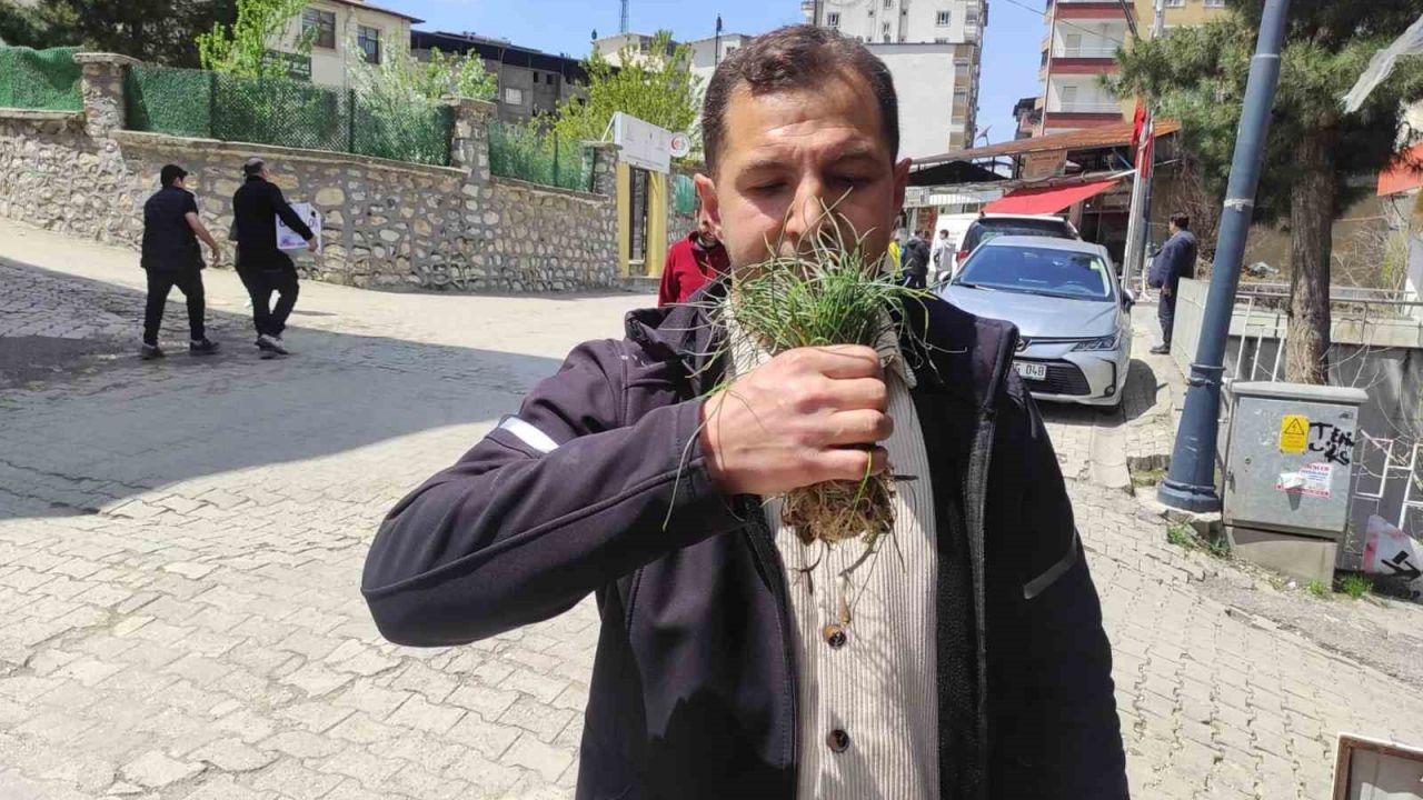 Zuzubak otu, köylüler için önemli bir gelir kapısı