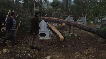 Adıyaman’da fırtına da ağaçlar devrildi