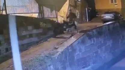 Altınları çalıp eşekle kaçan sanığa 9 yıl 7 ay hapis cezası