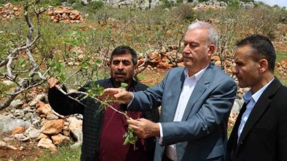 Araban’da ’süper hücre’ fırtınası fıstık bahçelerine zarar verdi