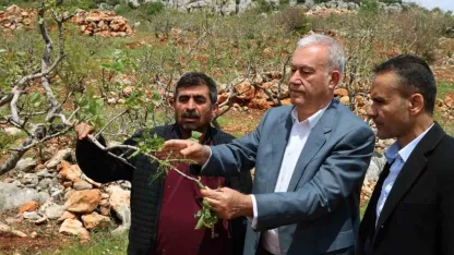 Araban’da ’süper hücre’ fırtınası fıstık bahçelerine zarar verdi