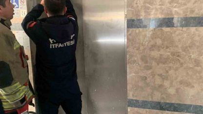Asansör boşluğuna düşen yavru kediyi itfaiye kurtardı