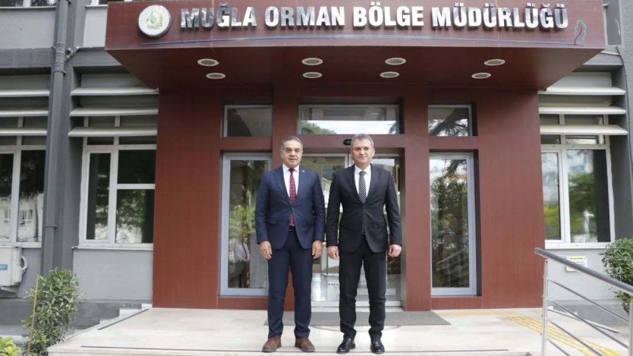 Aydın’da kestane ağaçları biyolojik mücadele ile korunuyor