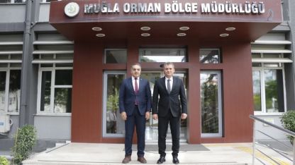 Aydın’da kestane ağaçları biyolojik mücadele ile korunuyor