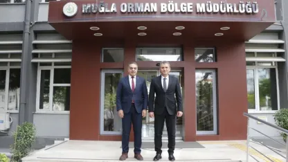 Aydın’da kestane ağaçları biyolojik mücadele ile korunuyor