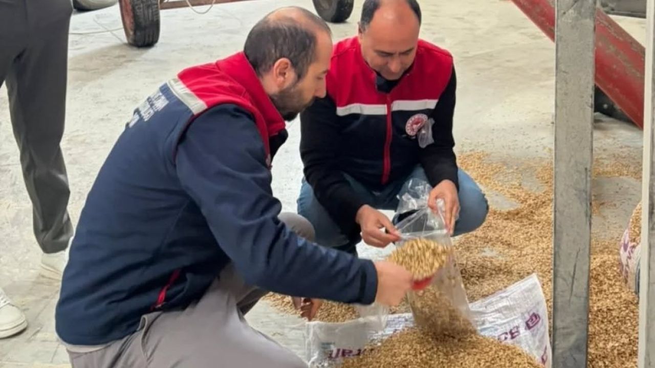Aydın’da yem işletmeleri denetlendi