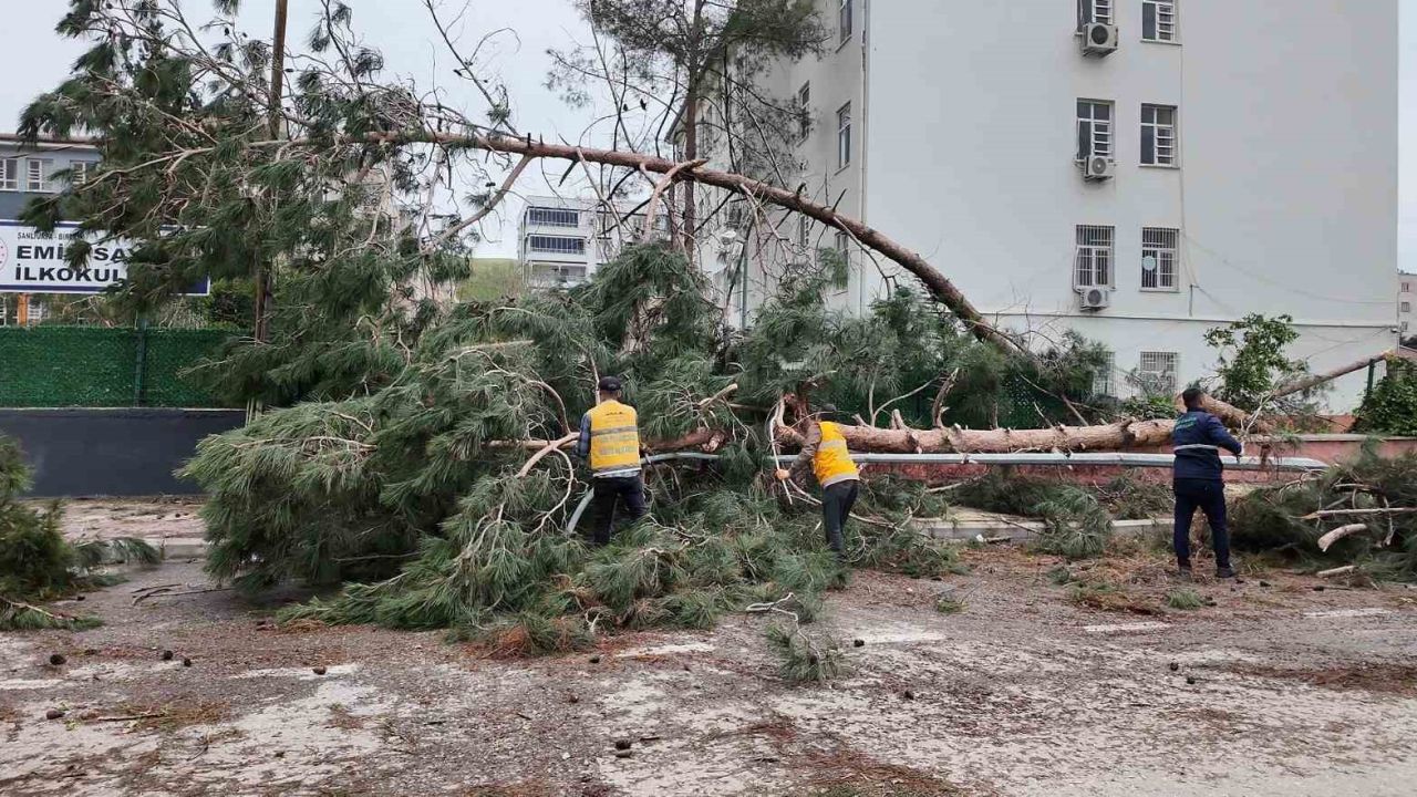 Birecik’te afetin yaraları sarılıyor
