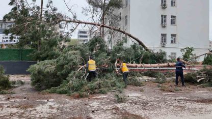 Birecik’te afetin yaraları sarılıyor
