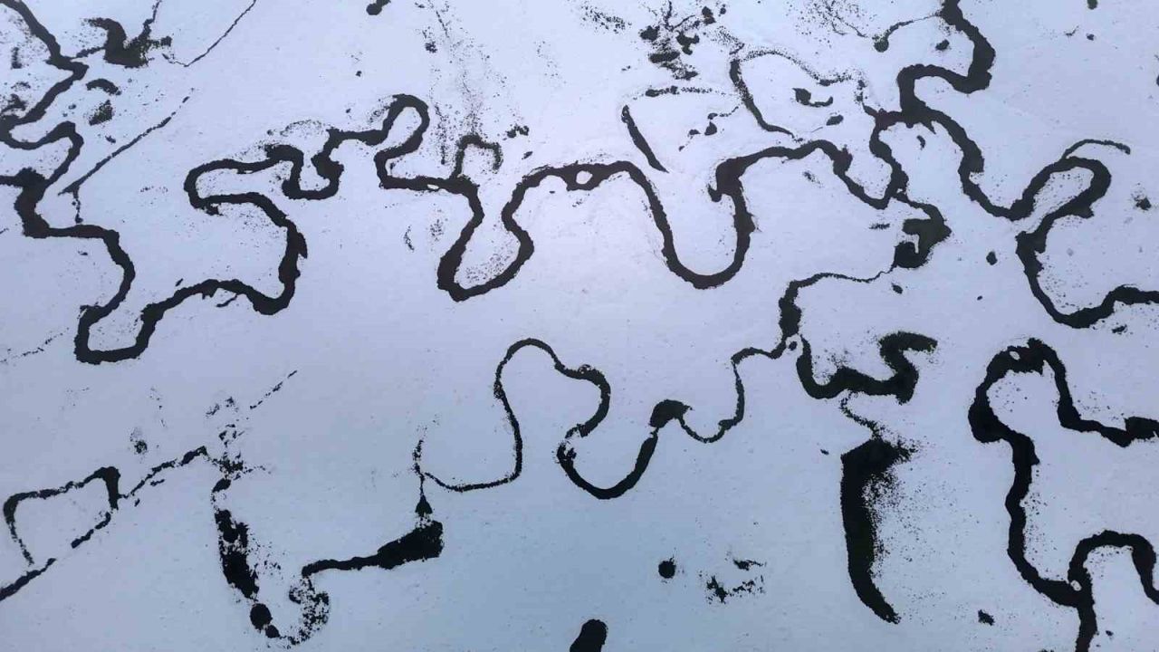 Bolu’da 14 köyün yaylasında mendereslerin görüntüsü mest etti