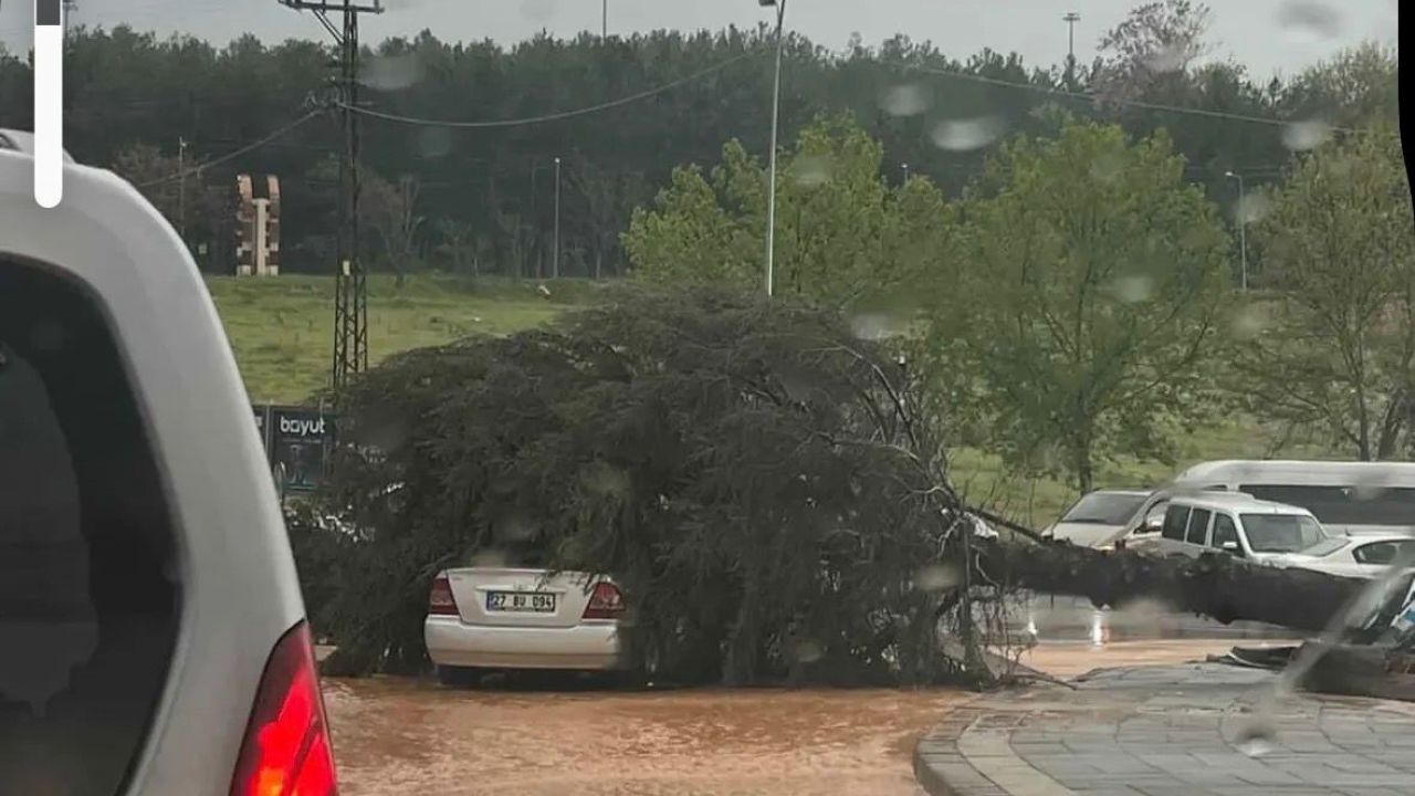 Çatılar uçtu, ağaçlar devrildi, park halindeki araçlar büyük zarar gördü
