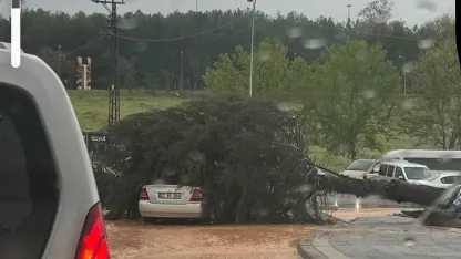 Çatılar uçtu, ağaçlar devrildi, park halindeki araçlar büyük zarar gördü