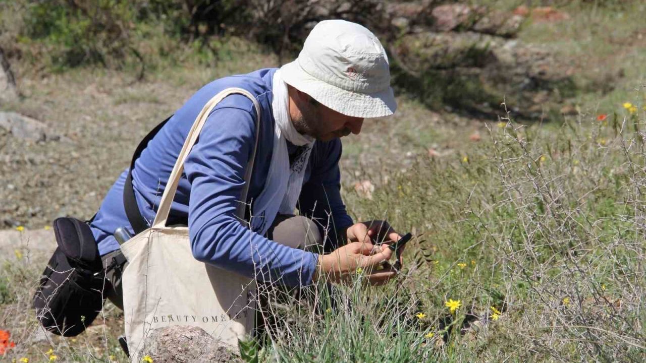 Darende’de flora projesi için ilk saha çalışması tamamlandı