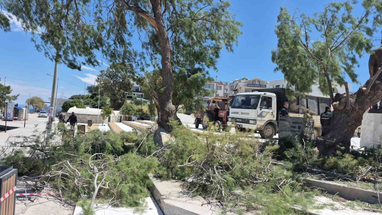 Datça’da rüzgar etkili oldu