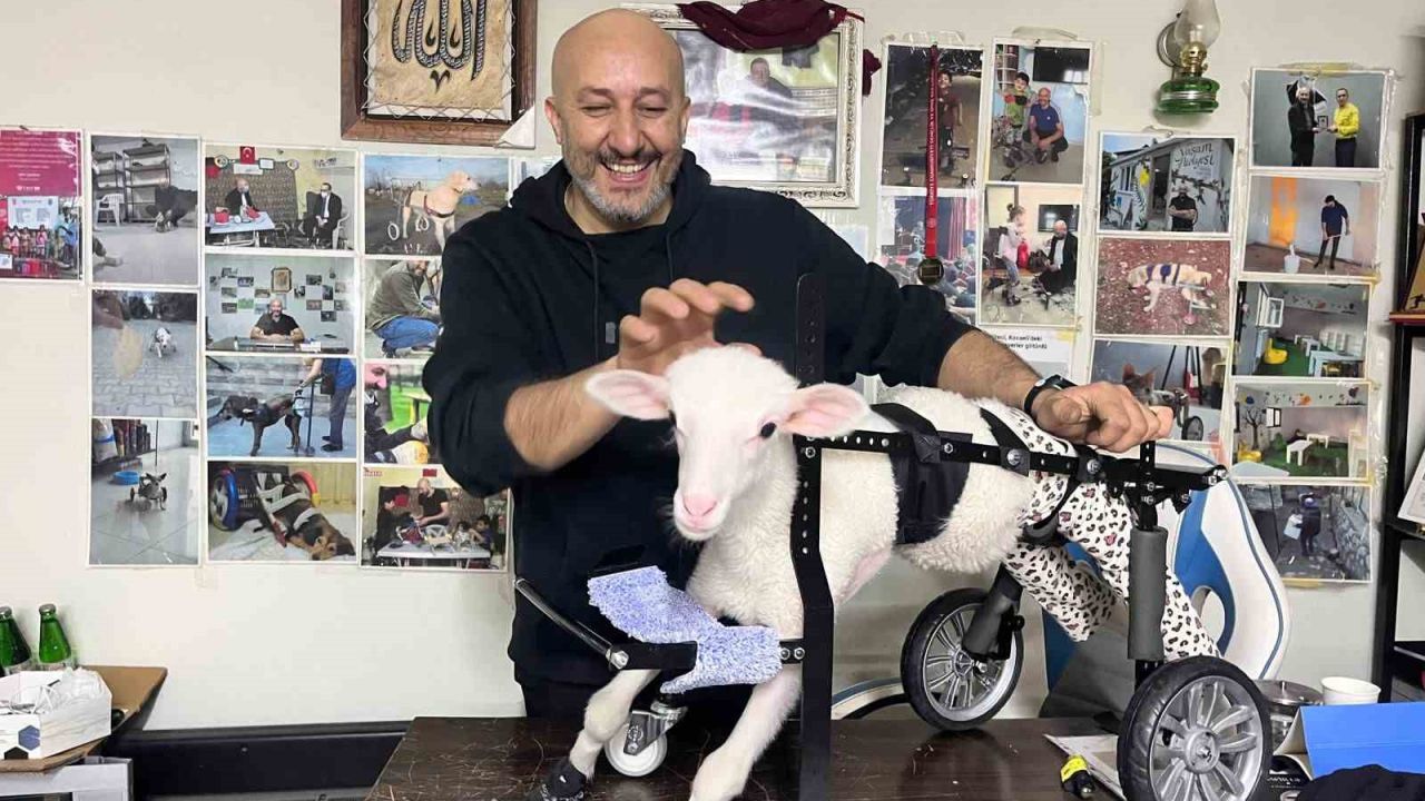Demir ustası felçli canlara ’umut’ oluyor: 9 yılda bin hayvanı ayağa kaldırdı