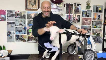 Demir ustası felçli canlara ’umut’ oluyor: 9 yılda bin hayvanı ayağa kaldırdı