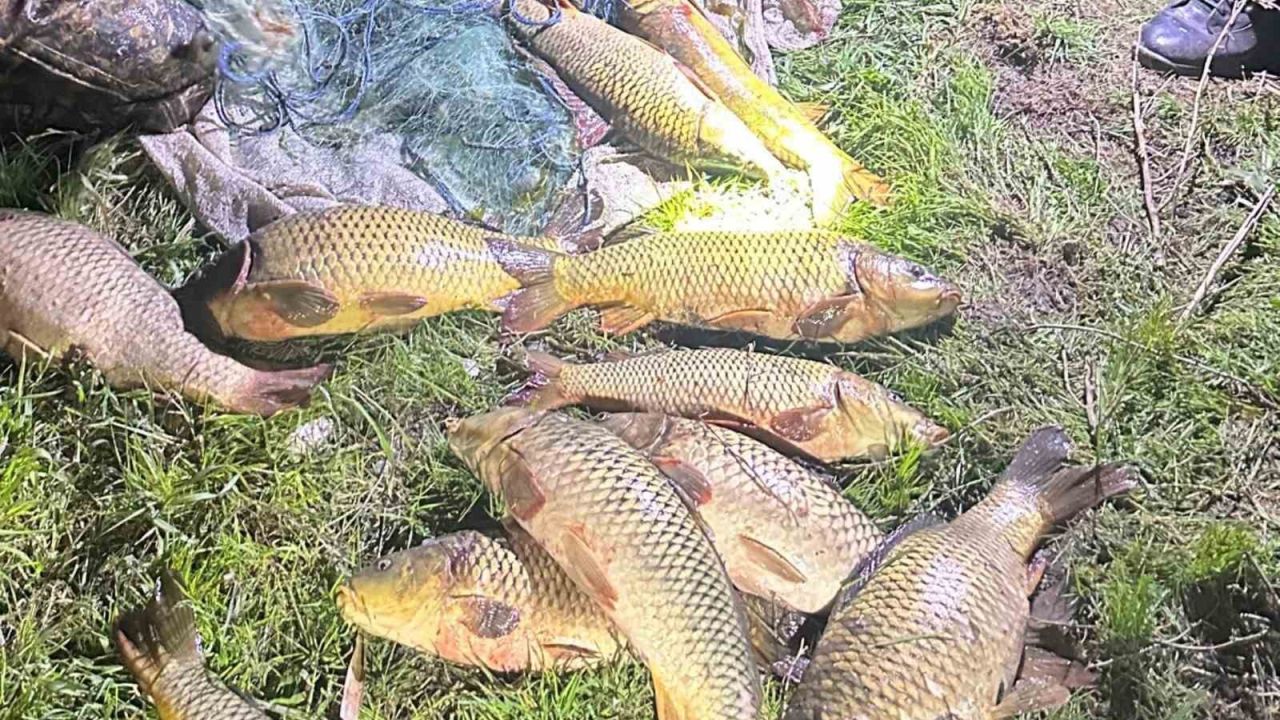 Eğirdir Gölü’nde kaçak avcılara suçüstü: 100 kilo sazan yeniden göle bırakıldı