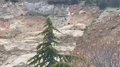 Eğirdir’de tırmandıkları kayalıklarda mahsur kalan çocuklar kurtarıldı