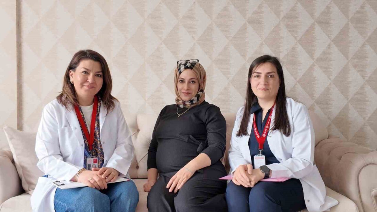 Elazığ’da ’Her Gebeye Bir Ebe’ uygulaması