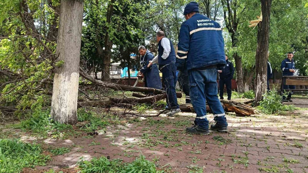 Gaziantep’te fırtına sonrası yaralar sarılıyor
