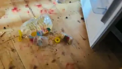 Gümüşhanelilerin ayılarla imtihanı devam ediyor