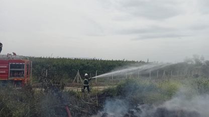 Hassa’da zeytinlik  yangını