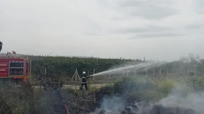 Hassa’da zeytinlik  yangını