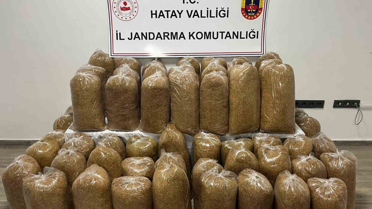 Hatay’da Jandarma’dan geniş çaplı asayiş operasyonu