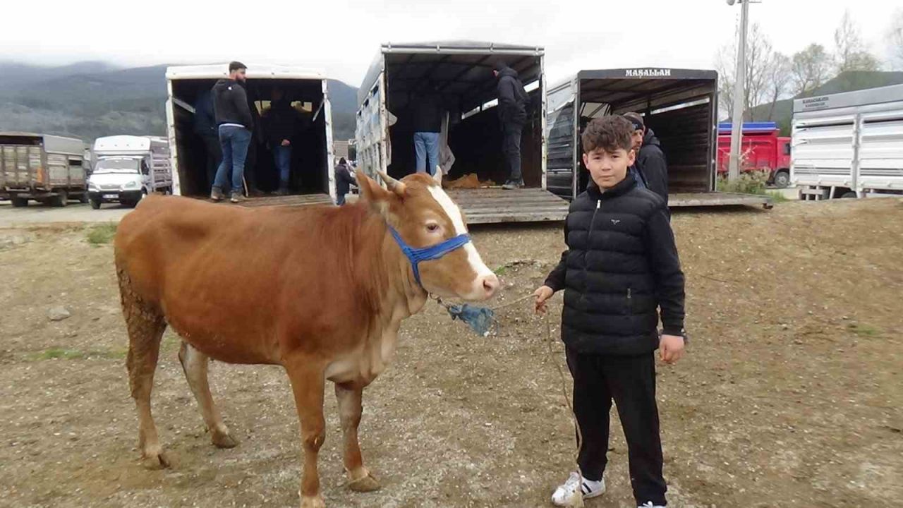 Hayvan pazarının en küçük celepçisi kurbanlık satıyor