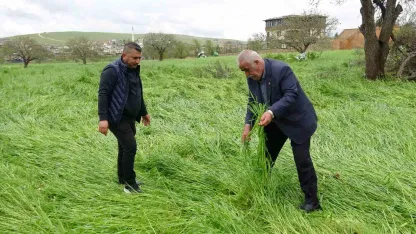 Hububatı ‘süper hücre’ vurdu