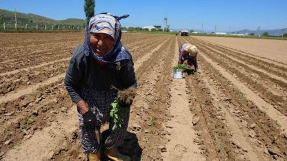 İşçi Bayramı’nın öteki yüzü