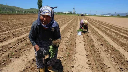 İşçi Bayramı’nın öteki yüzü