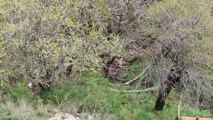 Isparta’da yüksekten düşen 36 yaşındaki kadın hayatını kaybetti