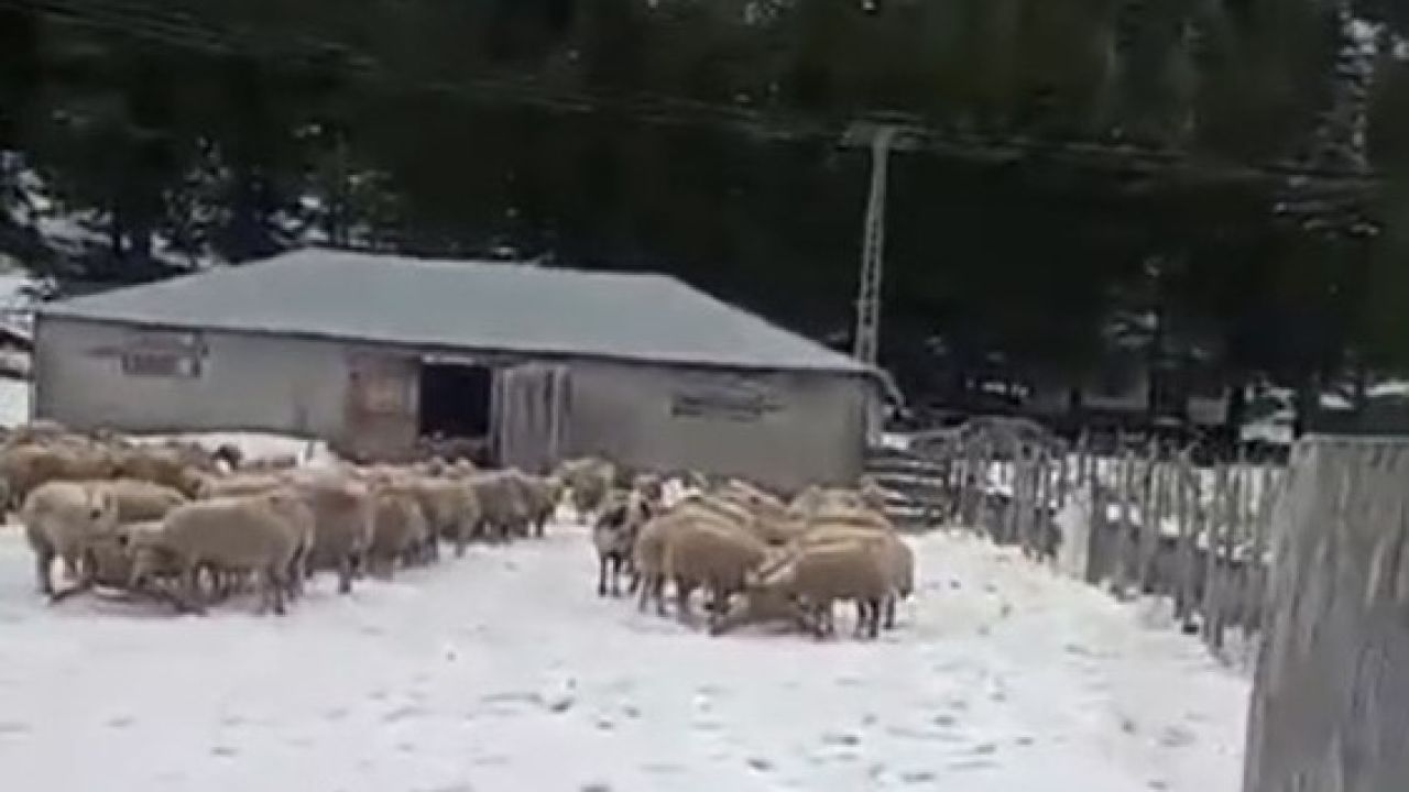 Kar kalınlığı 1 metreye ulaştı, mahsur kalan vatandaş kurtarıldı