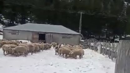 Kar kalınlığı 1 metreye ulaştı, mahsur kalan vatandaş kurtarıldı