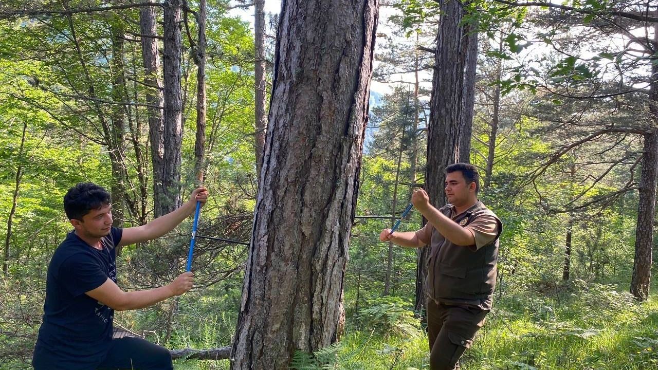 KBÜ’den küre dağları’nda kritik araştırma: İklim değişikliği ormanları nasıl etkiliyor
