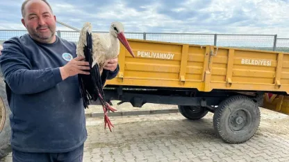 Kırklareli’de yaralı leyleğe şefkat eli