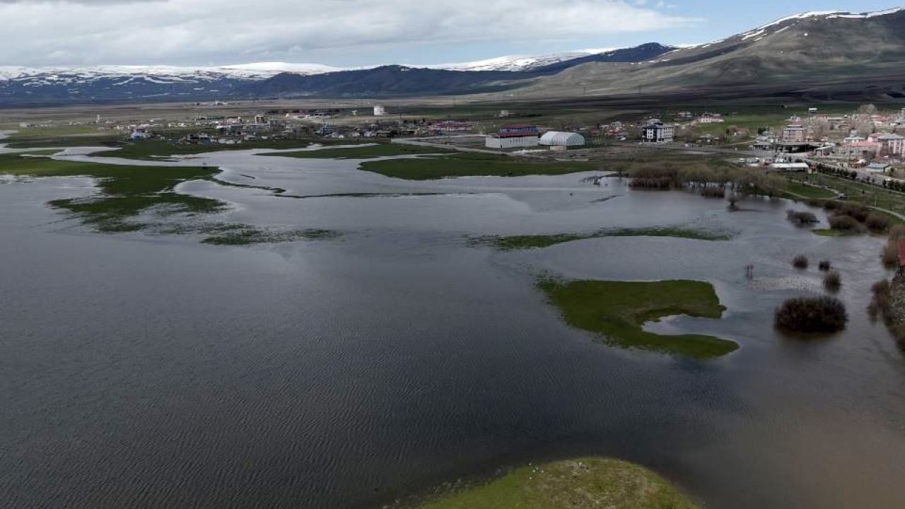 Kura Nehri taştı, tarım arazileri sular altında kaldı