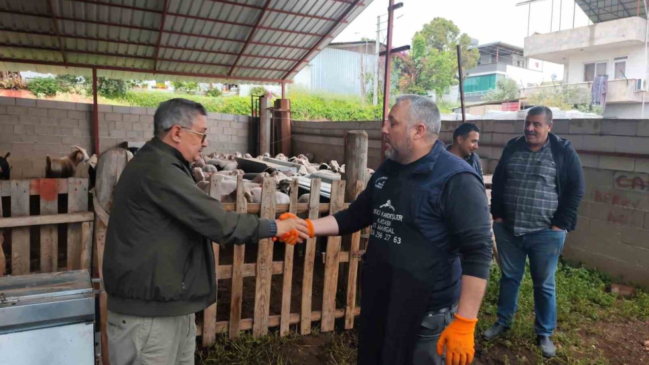 Kurbanlıklar satışa çıktı, pazarlıklar kızıştı