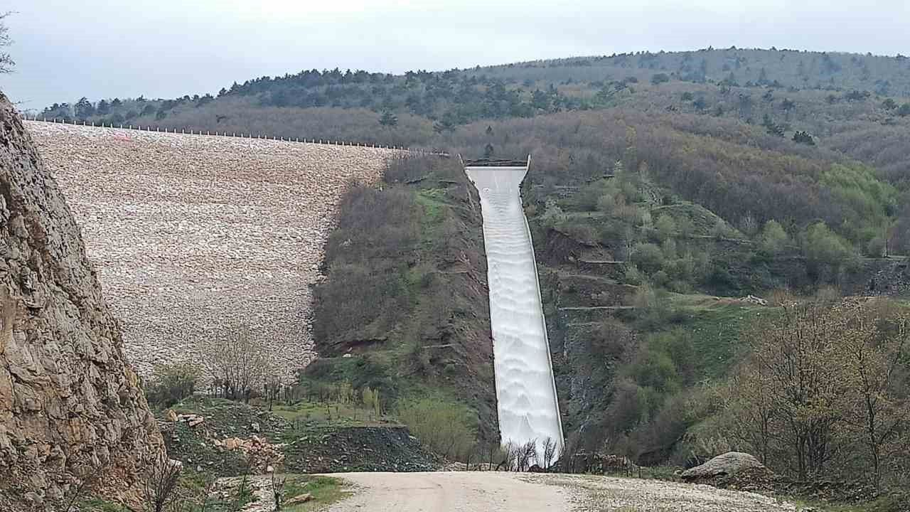 Pazaryeri tarımında altın dönem başlıyor