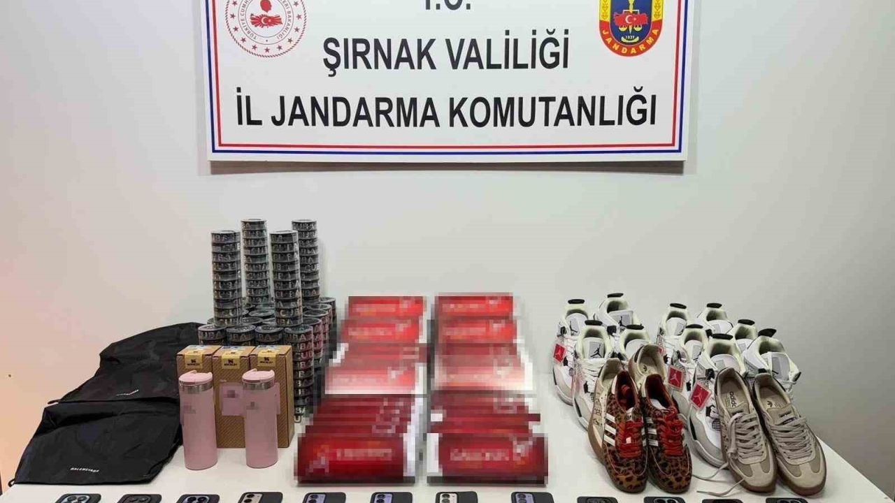Şırnak’ta jandarmadan 18 milyon kaçakçılık operasyonu