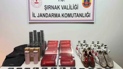 Şırnak’ta jandarmadan 18 milyon kaçakçılık operasyonu