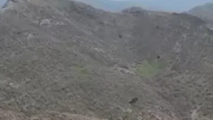 Şırnak’ta kartalın domuz avı kamerada