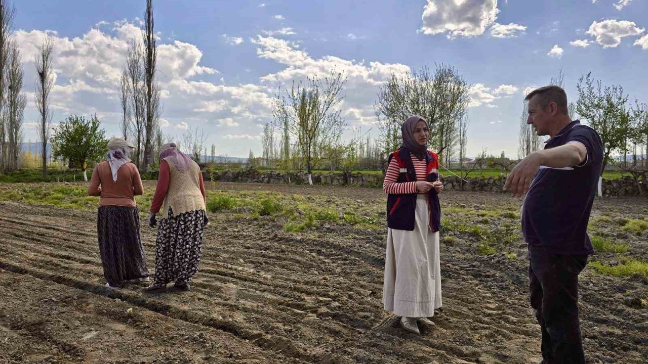 Tarım arazilerinde kontroller sürüyor