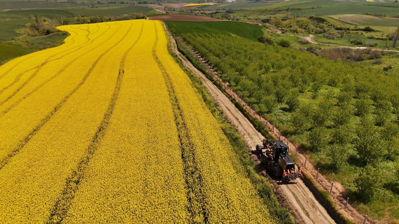 Tarla yolları hasada hazırlanıyor