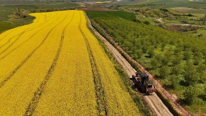 Tarla yolları hasada hazırlanıyor